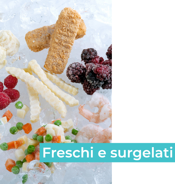 REEV - grafiche sito (3)